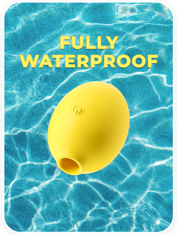 THE ZESTY SUCTION TOY